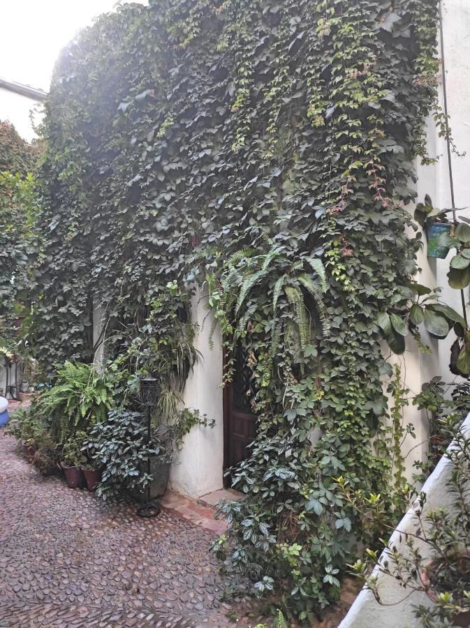 Apartamento Dama De Noche Cordoba Exterior photo